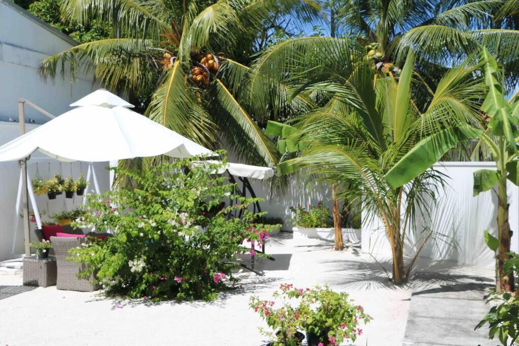 Fiyala Homestay Addu City Exterior photo