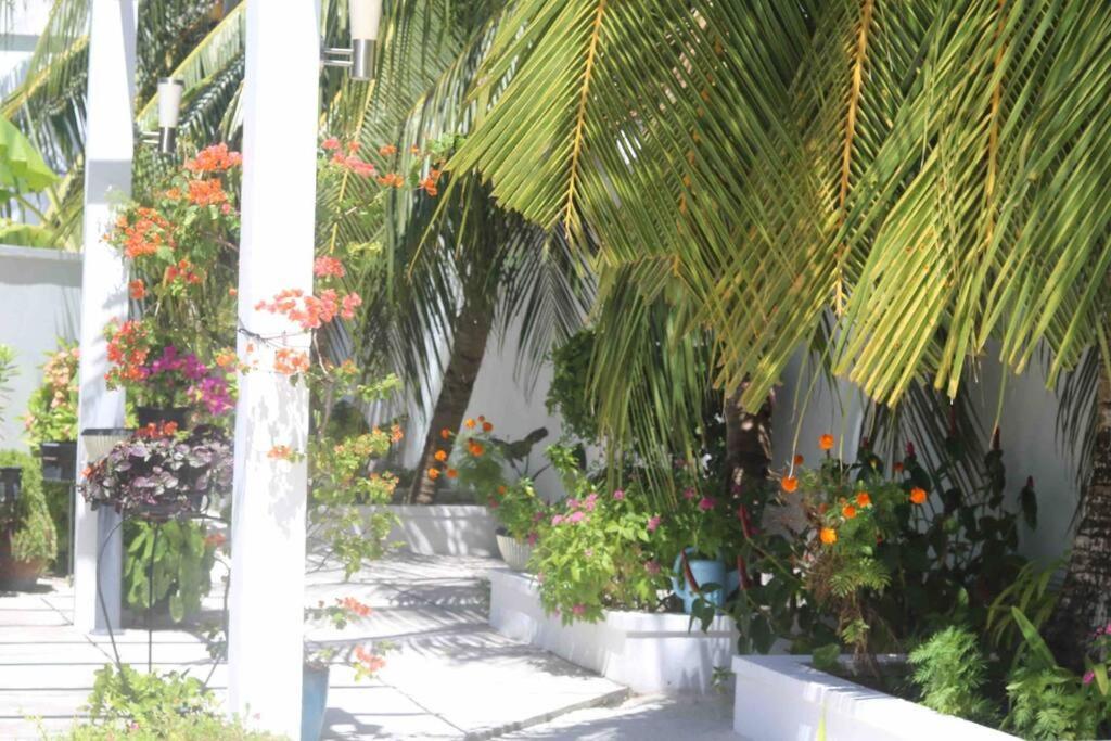 Fiyala Homestay Addu City Exterior photo